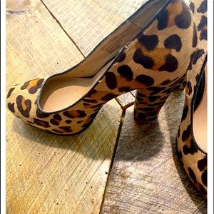 Womens Steven Madden platforms